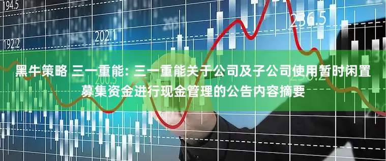 黑牛策略 三一重能: 三一重能关于公司及子公司使用暂时闲置募集资金进行现金管理的公告内容摘要