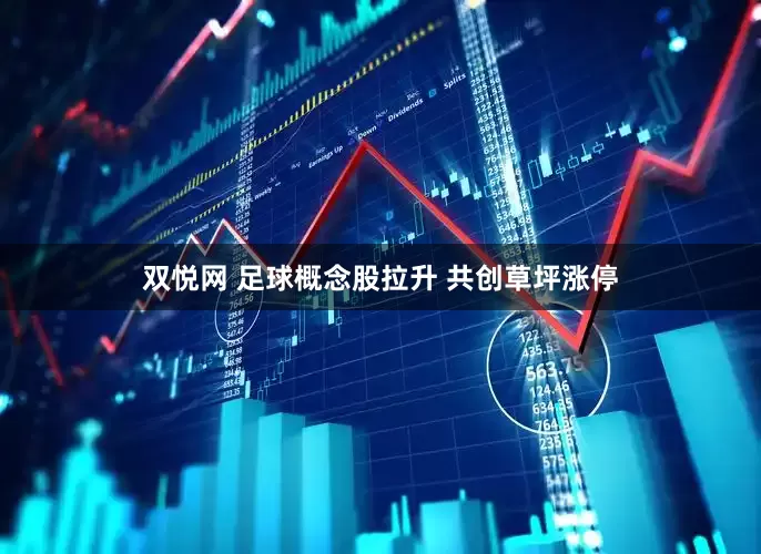 双悦网 足球概念股拉升 共创草坪涨停