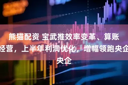 熊猫配资 宝武推效率变革、算账经营，上半年利润优化，增幅领跑央企