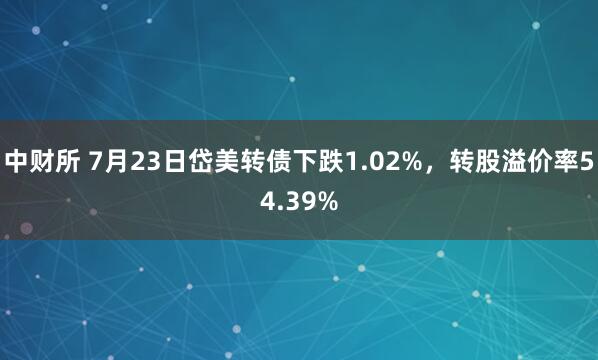 中财所 7月23日岱美转债下跌1.02%，转股溢价率54.39%